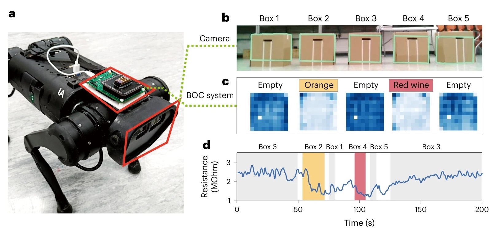 范智勇教授的仿生嗅覺晶片系統安裝在一隻機械狗上，讓其識別盲盒中的物品