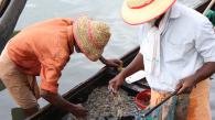 Treading Water on Sustainable Fisheries