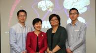 香港科技大学首次成功解开特定蛋白与调控大脑发育新机理 有助了解自闭症相关疾病