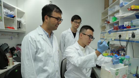 博士研究生馬天驥（前右）在郭教授（前左）的指導下進行實驗。