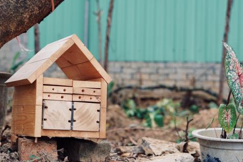 用木头和其他物料搭建小小的蜂箱，已可为独居蜂提供基地。这些蜂箱可放置在家居或公园任何角落，在自然环境中增添蜜蜂授粉的机会。
