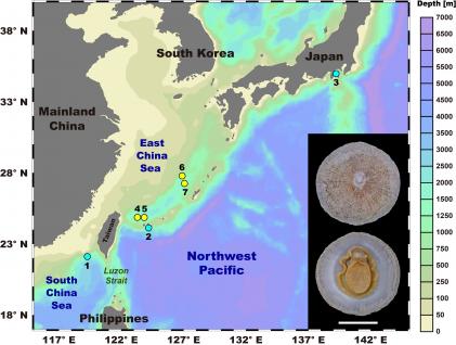 深海帽貝在西北太平洋冷泉區(藍點)與熱泉區(黃點)的採樣點。1-3：三個分別位於南海蛟龍海脊、黑島海丘，與相模灣的冷泉區；4-7：四個位於沖繩海槽的熱泉區。右下角插圖：展示深海帽貝的形態特徵(比例尺 = 1 釐米)
