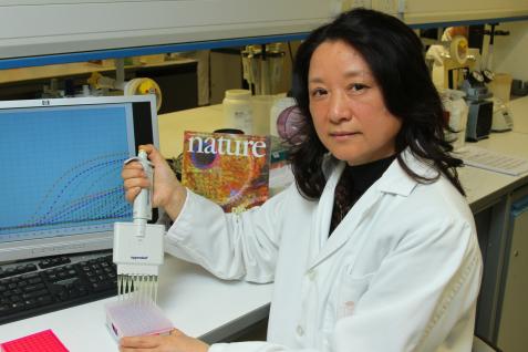 薛 紅 教 授 在 她 的 應 用 基 因 組 中 心 工 作 　	