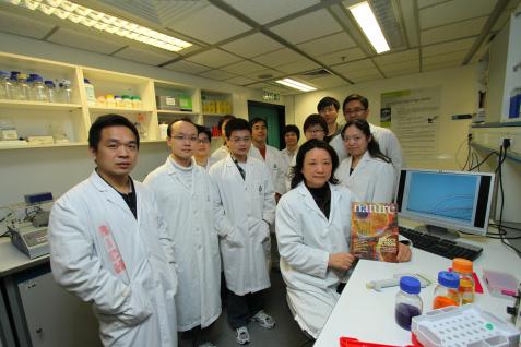 Prof Hong Xue with her research team at HKUST	