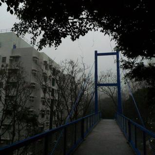  The mystic monkey footbridge