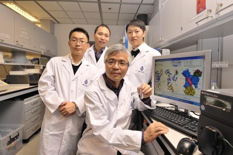 張 明 傑 教 授 （ 前 ） 及 他 的 研 究 團 隊 -（ 左 起 ） 潘 李 鋒 博 士 、 魏 志 毅 博 士 及 武 林 先 生 。	