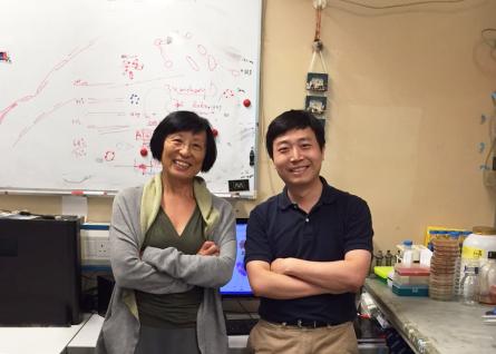  Figure 2. Professor Bik Tye and Dr. Yuanliang Zhai (right)