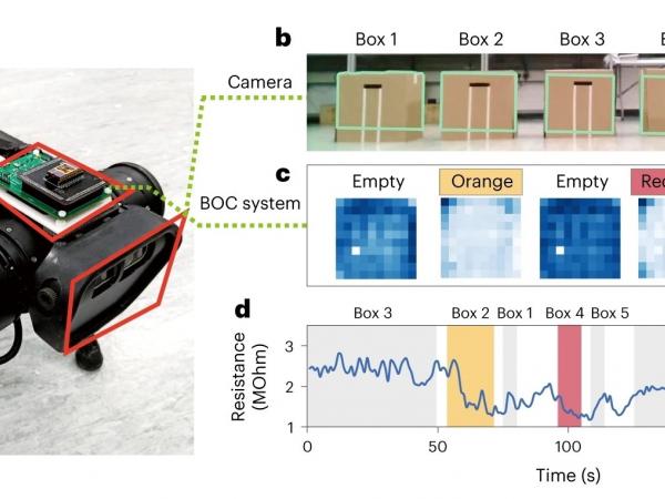范智勇教授的仿生嗅覺晶片系統安裝在一隻機械狗上，讓其識別盲盒中的物品